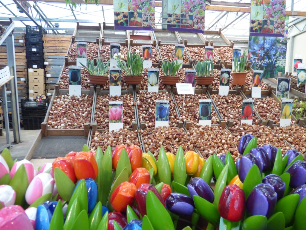 mercati di Amsterdam