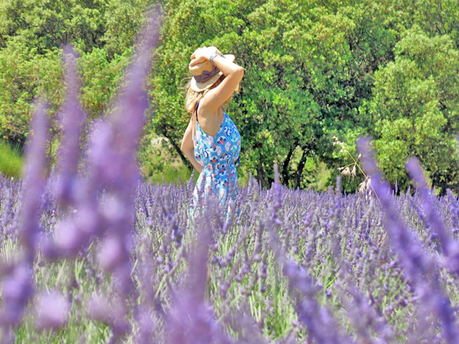 campi di fiori