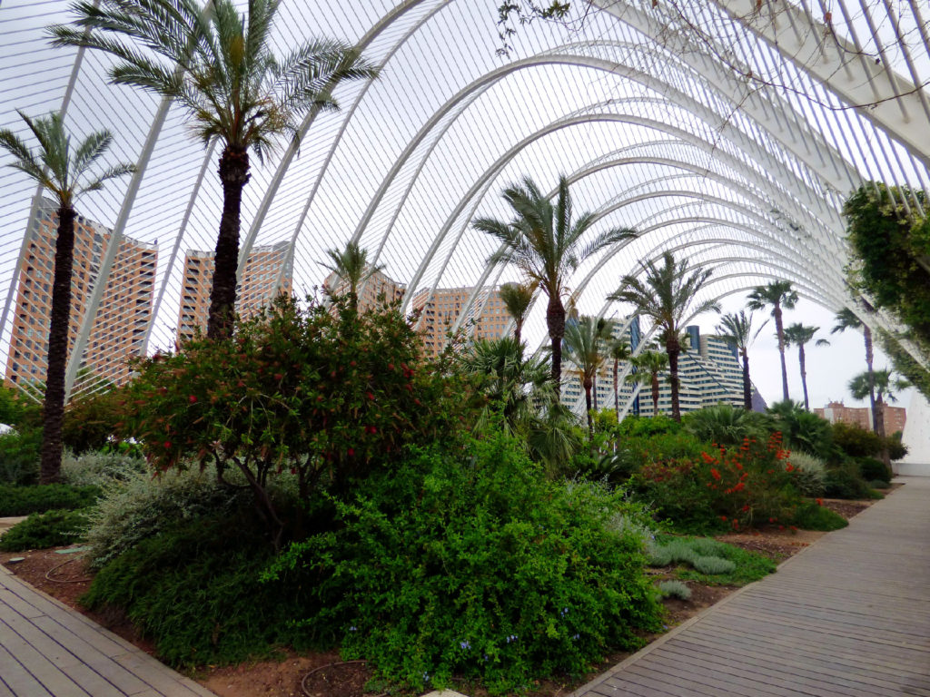 Umbracle