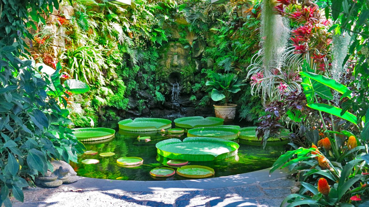Giardini La Mortella, guida e info al paradiso verde di Ischia